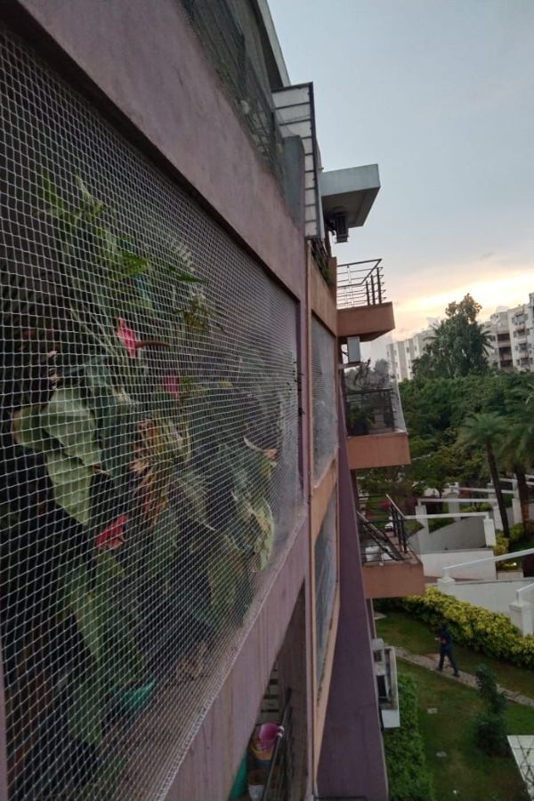 Bird Nets Installation Price