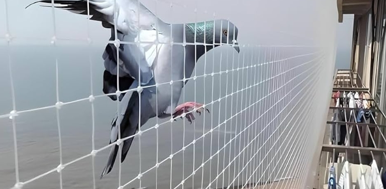 Pigeon Nets Installation Near Me