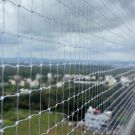 Pigeon Netting Service