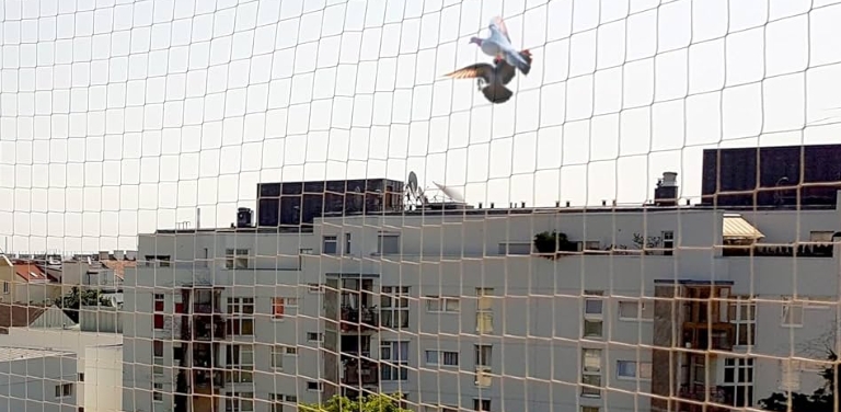 Pigeon Nets Installation Cost