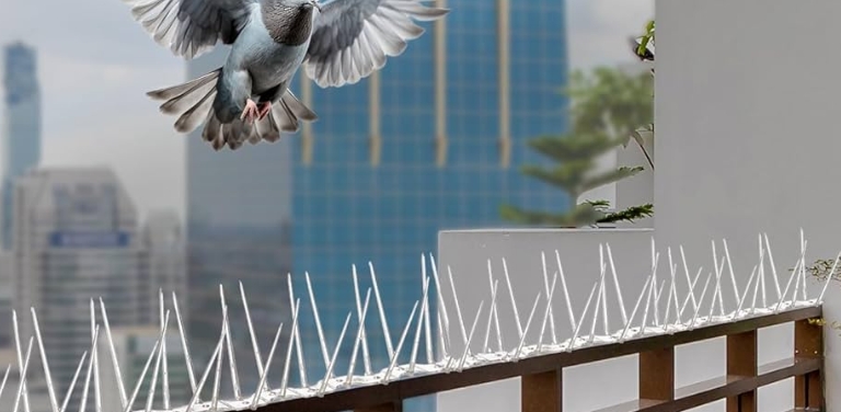 Bird Control Spikes
