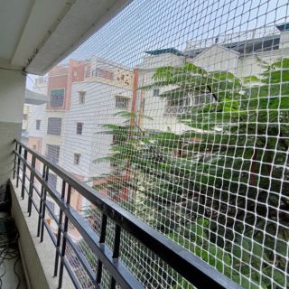 Bird Safety Nets
